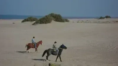 PREVENTA Marzo 👉 tarifa por noche